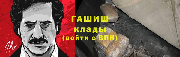 гидра Михайловка