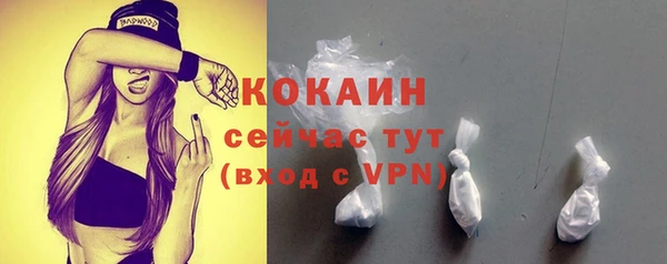 гидра Михайловка