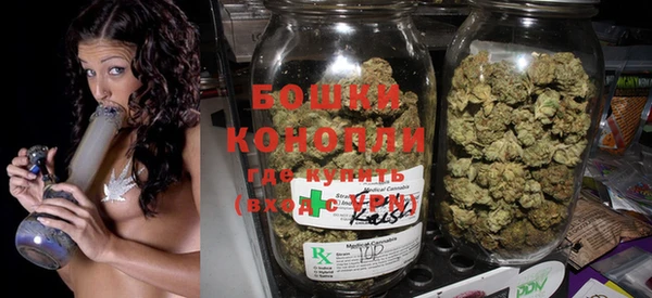 гидра Михайловка
