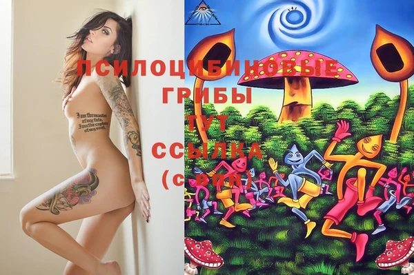 дживик Михайловск