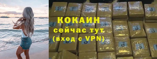 гидра Михайловка