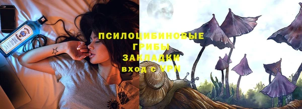 гидра Михайловка