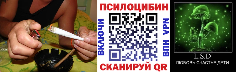 ссылка на мегу ССЫЛКА Югорск Галлюциногенные грибы Psilocybine cubensis наркошоп
