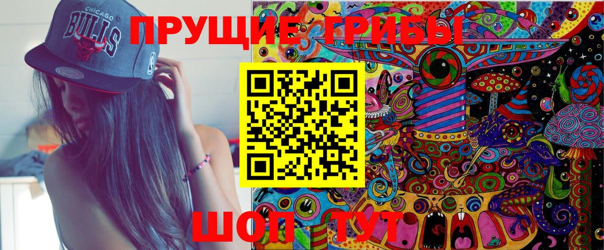 Псилоцибиновые грибы Cubensis Югорск