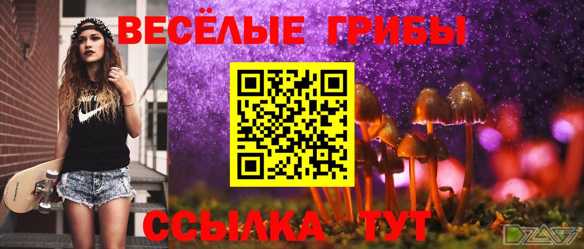 Галлюциногенные грибы прущие грибы  Псилоцибиновые грибы Psilocybine cubensis  Югорск  Вход с VPN 