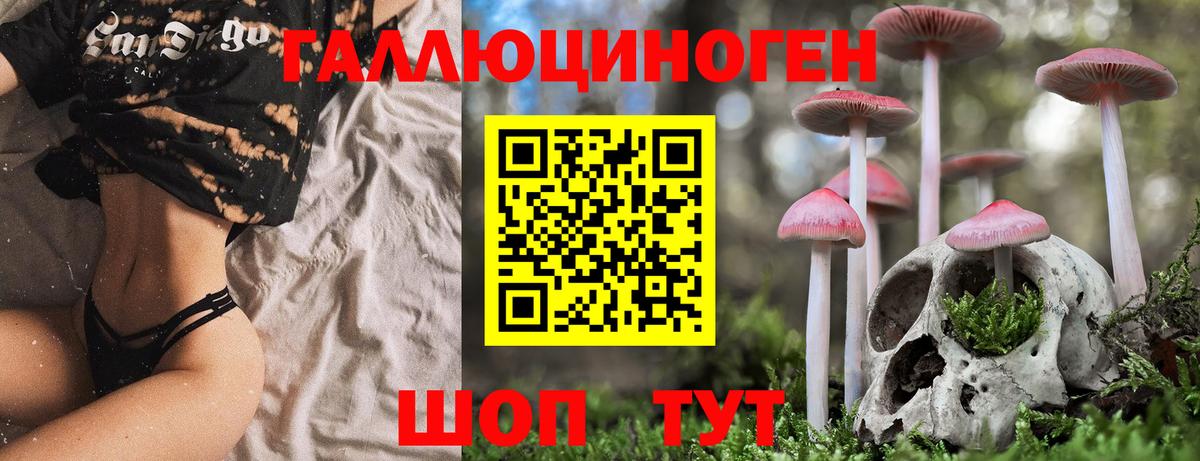 Псилоцибиновые грибы MAGIC MUSHROOMS Югорск