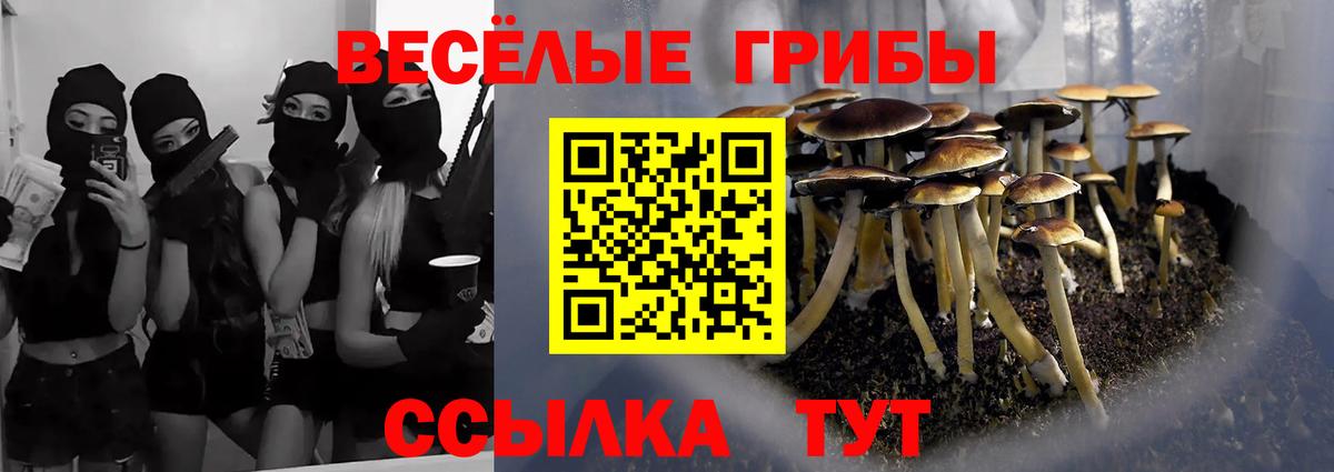 Псилоцибиновые грибы Magic Shrooms  хочу   Псилоцибиновые грибы ЛСД  Югорск 